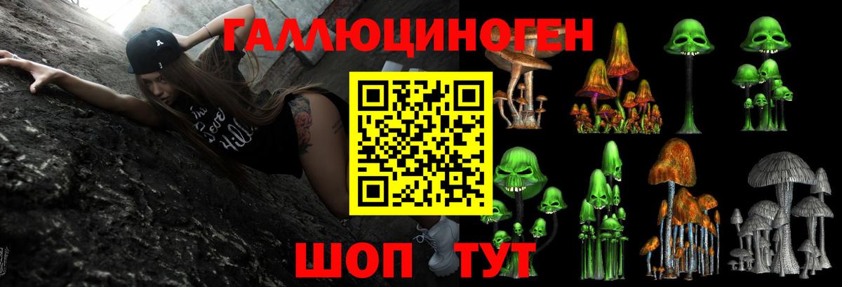 Псилоцибиновые грибы ЛСД Киселёвск